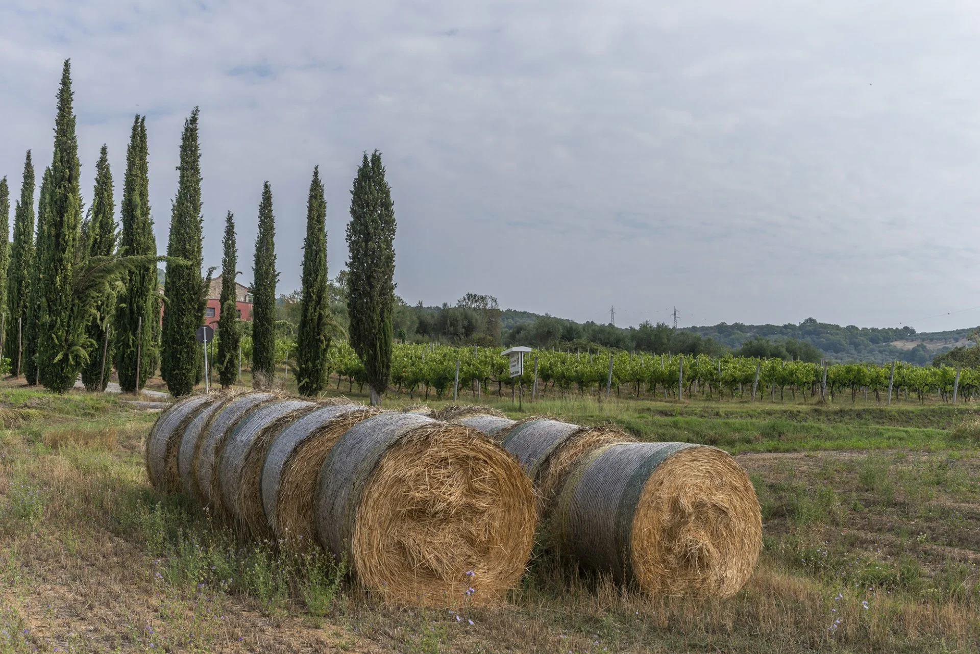 Summer in Umbria — view 24